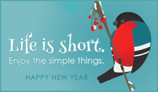 Happy New Year and Enjoy Life!